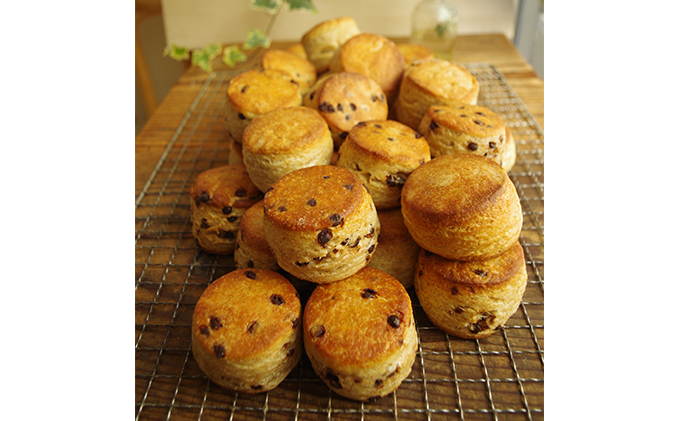 定期便　石窯パン　毎月5,000円セットが届く！　12ヶ月分