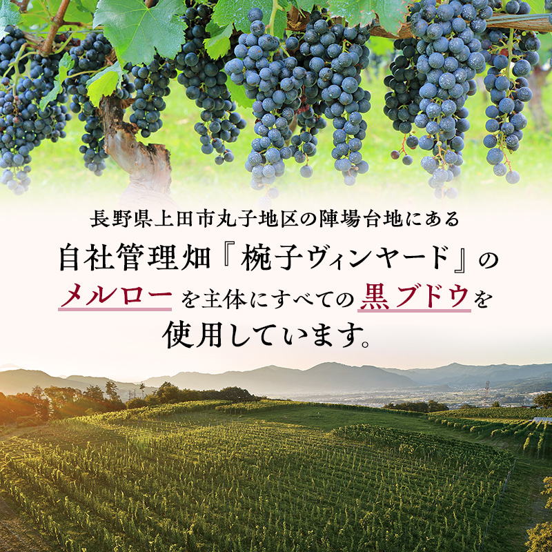 スパークリングワイン 椀子のあわ ロゼ 辛口 750ml ギフト シャトーメルシャン椀子ワイナリー シャトーメルシャン ワイン お酒 酒 アルコール 家飲み 宅飲み お祝い 記念日 贈り物 プレゼント 信州 長野 長野県 上田市