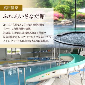 旅行 長野 温泉施設 4館共通 入館券 11枚組 家族・友人で利用しやすい 上田市内 日帰り 温泉 施設利用券 利用券 トラベル チケット 旅行券 長野県