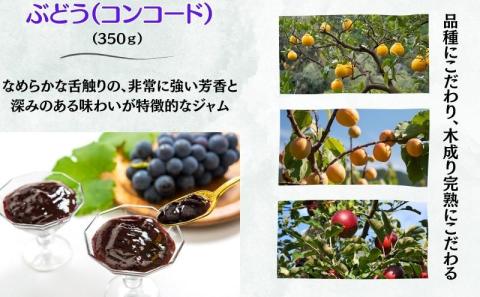 ジャム 四季のジャム詰合せ Mサイズ 5個入り かりんジャム りんごジャム 杏ジャム 三宝柑マーマレード マーマレード セット 詰め合わせ かりん 葡萄 ブドウ ルバーブ 林檎 リンゴ あんず フルーツ コンコード 長野 信州