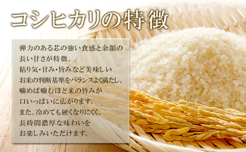 米 令和7年産 長野 コシヒカリ 5kg お米 こめ コメ おこめ 新米 白米 精米 5キロ こしひかり 信州 長野県 上田市 上田