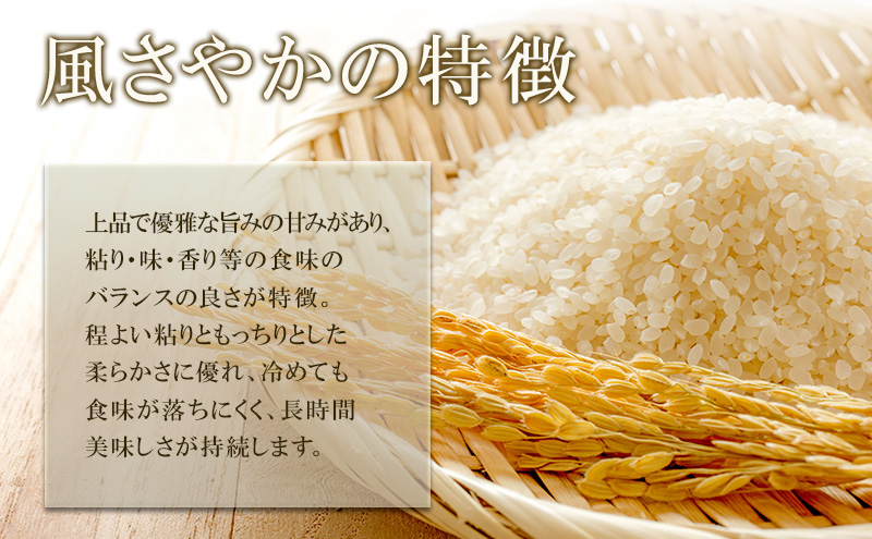 米 令和7年産 長野 風さやか 6kg （2kg×3個） 小分け お米 こめ コメ 新米 白米 精米 オリジナル米 ブランド米 かぜさやか 信州 上田市