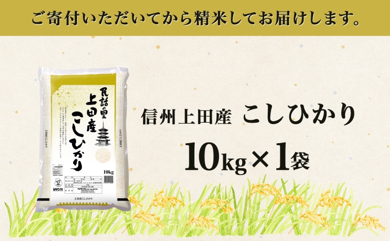 令和7年産 新米 長野県 信州 上田市産 こしひかり 10kg×1袋 計10kg 精米 白米 ブランド米 銘柄米 コシヒカリ ご飯 ライス お弁当 おにぎり 主食 国産 日本産 和食 お取り寄せ