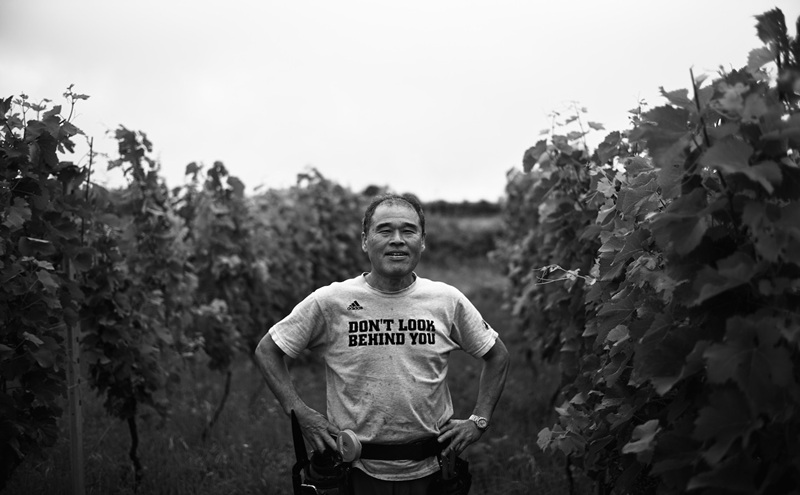 【長野県上田市産ぶどう100％】VART 赤ワイン＋白ワインセット