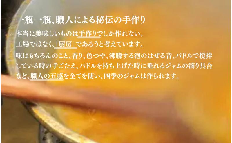 ナイヤガラ（M）2個セット ジャム 手作り セット ぶどう 果物 朝食 軽食 上田市