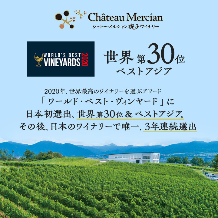限定 ワイン 椀子ヴィンヤードを味わうお試し セット 2本 
