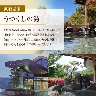 旅行 長野 温泉施設 4館共通 入館券 11枚組 家族・友人で利用しやすい 上田市内 日帰り 温泉 施設利用券 利用券 トラベル チケット 旅行券 長野県