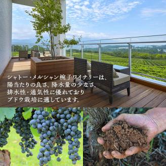 限定 年ヴィンテージの限定品区画別メルロー 3本 セット メルロー 750ml 赤ワイン お酒 酒 アルコール 飲み比べセット ギフト 贈り物 プレゼント