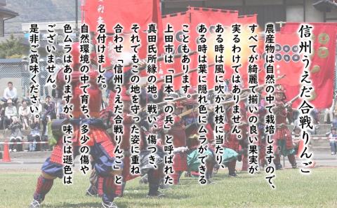 訳あり りんご JA信州うえだ 合戦りんご シナノスイート 約10kg リンゴ 林檎 果物 くだもの フルーツ 信州 長野 離乳食 訳アリ わけあり 傷