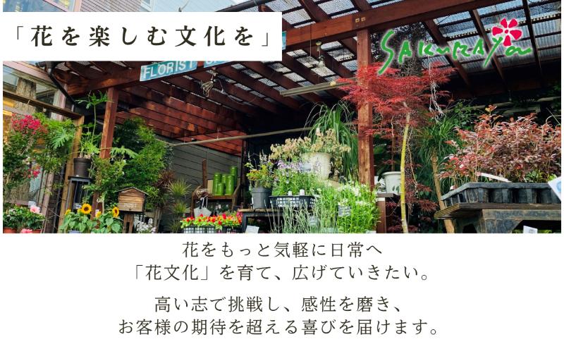 空間を彩る　季節のフラワーアレンジメント　Xサイズ×毎月2回×6ヶ月（全12回）