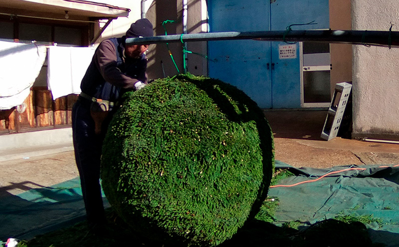日本酒 長野 福無量 純米大吟醸 720ml 長野県産 金紋錦 大吟醸 酒 お酒 アルコール 冷酒 甘口 女性 ギフト プレゼント 贈答 贈答用 贈答品 贈り物 大吟醸酒 純米大吟醸酒 山田錦 たかね錦 信州 長野県 上田市 上田