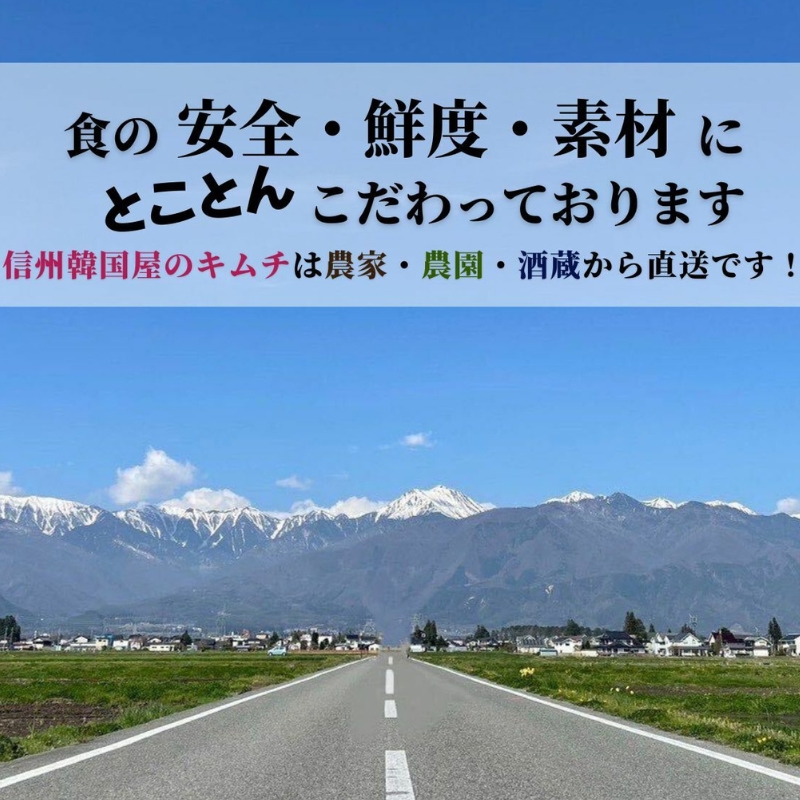 辛党におすすめ！切れてる大辛キムチ 3kg 国産 白菜キムチ 国産 長野県 韓国屋 信州韓国屋 新鮮 健康 発酵食品 おつまみ おかず ご飯のお供 お酒のお供 韓国 白菜 キムチ