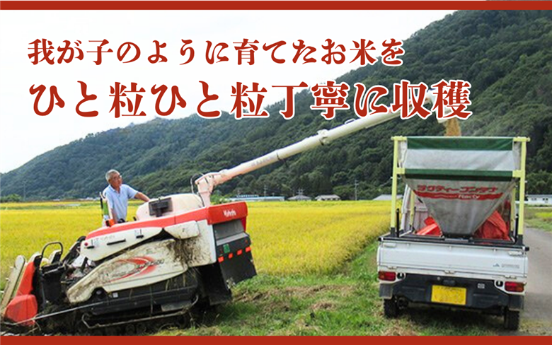 米 令和7年産 定期便 6ヶ月 関口さんちのお米 コシヒカリ 3kg お米 こめ コメ 新米 精米 白米 ご飯 こしひかり 長野 信州 6回 半年 お楽しみ