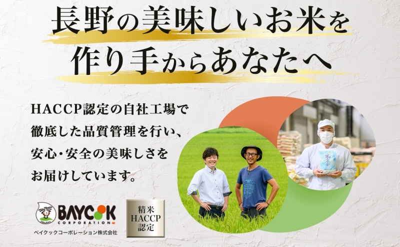令和7年産 新米 長野県 信州 上田市産 こしひかり 10kg×1袋 計10kg 精米 白米 ブランド米 銘柄米 コシヒカリ ご飯 ライス お弁当 おにぎり 主食 国産 日本産 和食 お取り寄せ