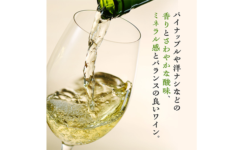 ワイン 飲み比べセット 750ml 2本セット 赤ワイン 白ワイン 赤白セット ギフト シャトーメルシャン椀子ワイナリー シャトーメルシャン ワイン お酒 酒 アルコール 宅飲み お祝い 記念日 飲み比べ セット 贈り物 プレゼント 信州 長野 長野県 上田市