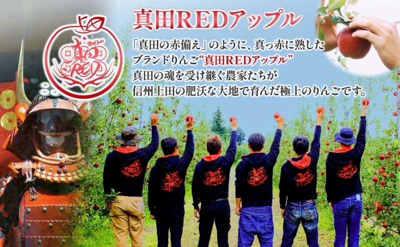 無地熨斗 長野県 真田 RED アップル ジュース 瓶 1000ml 6本 飲料 果汁 100% フルーツ リンゴ 果物 りんご 林檎 無香料 無着色 ストレート にごり 旬 贅沢 戦国武将 ギフト お取り寄せ 信州 まちづくり上田 送料無料 長野県 上田