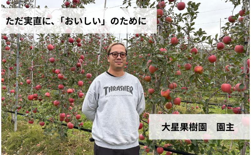 シナノゴールド　5kg　りんご リンゴ 林檎 果物 フルーツ 長野