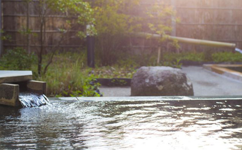 信州の秘湯　三水館　【長沢・渋田見】和室角部屋　平日ペア宿泊券　温泉旅館 鹿教湯温泉 ギフト プレゼント 旅行 カップル ファミリー 誕生日