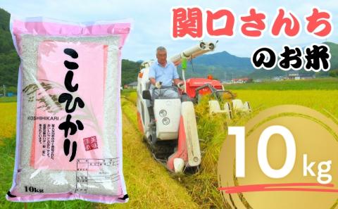 米 令和7年産 関口さんちのお米 コシヒカリ 10kg お米 こめ コメ 新米 精米 白米 ご飯 こしひかり 長野 信州