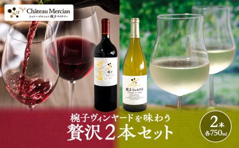 限定 ワイン 椀子ヴィンヤードを味わう贅沢 2本 セット 椀子オムニス 椀子シャルドネ ミッドナイト・ハーベスト 白ワイン 赤ワイン お酒 酒 アルコール 飲み比べセット ギフト 贈り物 プレゼント