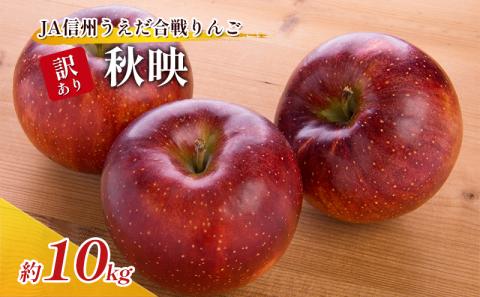 訳あり りんご JA信州うえだ 合戦りんご 秋映 約10kg リンゴ 林檎 果物 くだもの フルーツ 信州 長野 離乳食 訳アリ わけあり 傷