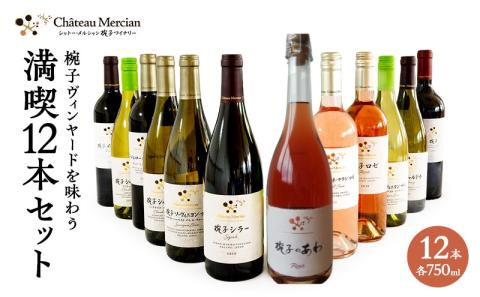 椀子ワイナリー醸造　満喫12本セット