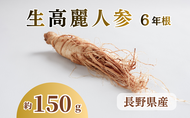 生高麗人参 6年根 大 150g 高麗人参 生 六年生 健康食品 健康 疲労回復 血行 改善 食品 美容 特産 薬膳 高麗人参酒 人参 調理 長野 信州