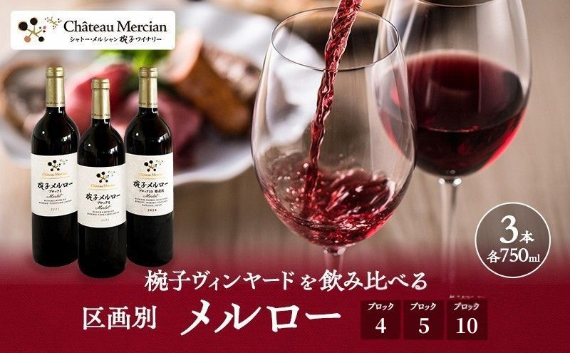 限定 年ヴィンテージの限定品区画別メルロー 3本 セット メルロー 750ml 赤ワイン お酒 酒 アルコール 飲み比べセット ギフト 贈り物 プレゼント