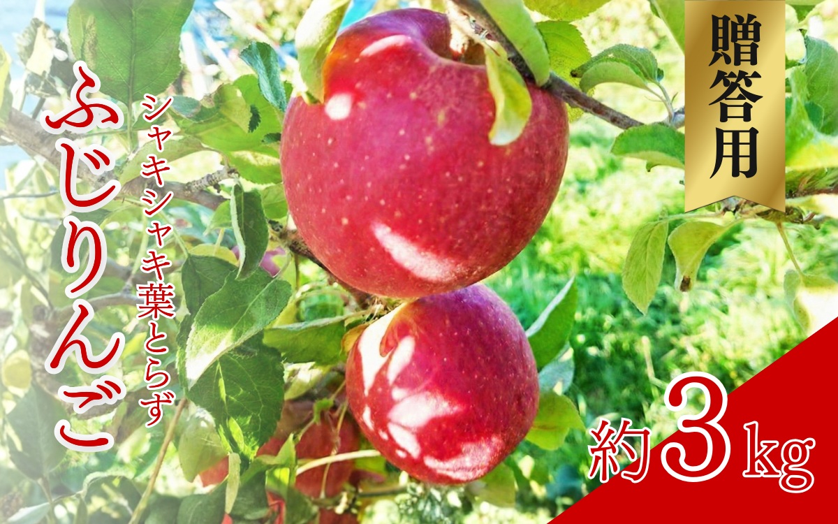 シャキシャキ葉とらず ふじりんご 約3kg (5～12玉) サンふじ りんご リンゴ 果物 フルーツ 旬の果物 信州 長野 上田【特別栽培農産物】【長野県産】