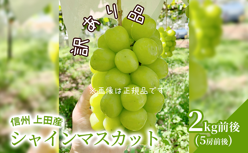 【2026年先行予約】 訳あり シャインマスカット 2kg前後 4房前後 ぶどう 葡萄 ブドウ マスカット 2kg 果物 くだもの フルーツ デザート 旬の果物 旬のフルーツ 訳アリ 長野県 長野