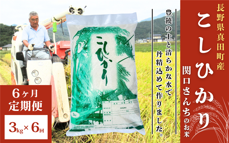 米 令和7年産 定期便 6ヶ月 関口さんちのお米 コシヒカリ 3kg お米 こめ コメ 新米 精米 白米 ご飯 こしひかり 長野 信州 6回 半年 お楽しみ