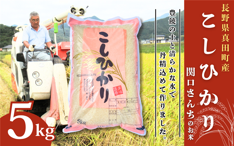 米 令和7年 関口さんちのお米 コシヒカリ 5kg お米 こめ コメ 精米 白米 ご飯 こしひかり 長野 信州