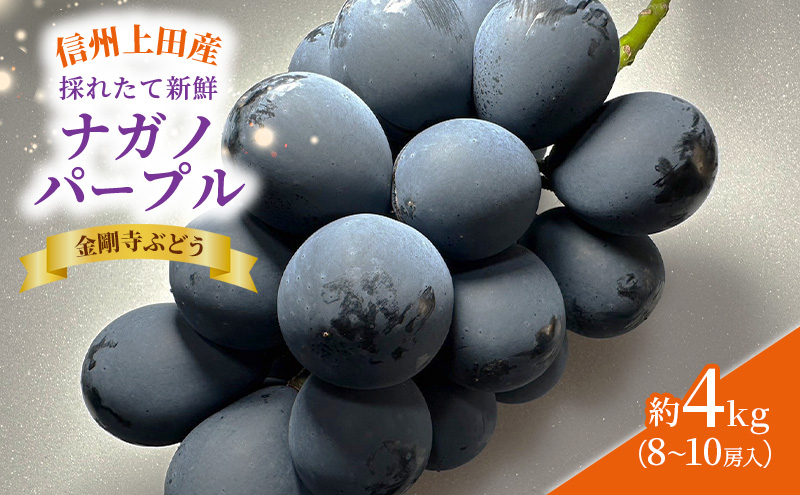 ナガノパープル 信州上田産金剛寺ぶどう 約4kg 8～10房 ぶどう 葡萄 ブドウ 長野パープル 4kg 果物 くだもの フルーツ デザート 旬の果物 旬のフルーツ 長野県 長野