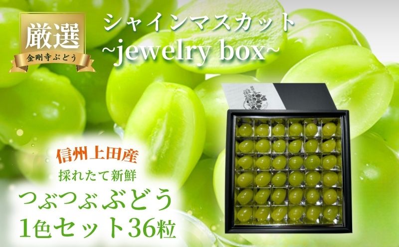 2025年先行予約 厳選！シャインマスカットjewelry box 信州上田産金剛寺ぶどう つぶつぶぶどう 1色 セット 36粒 詰め合わせ ぶどう マスカット フルーツ 旬の果物 長野