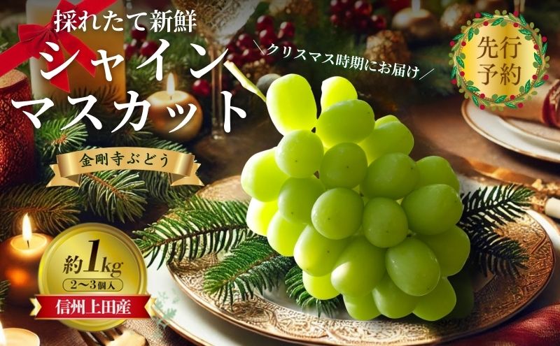 クリスマスにお届け！ シャインマスカット 信州上田産金剛寺ぶどう 約1kg 2～3房 ぶどう 葡萄 ブドウ マスカット 1kg 果物 くだもの フルーツ デザート 旬の果物 旬のフルーツ 長野県 長野