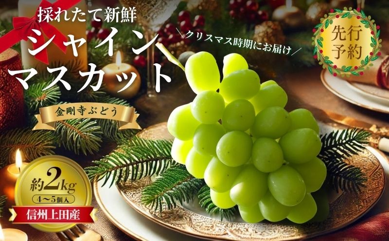 クリスマスにお届け！ シャインマスカット 信州上田産金剛寺ぶどう 約2kg 4～5房 ぶどう 葡萄 ブドウ マスカット 2kg 果物 くだもの フルーツ デザート 旬の果物 旬のフルーツ 長野県
