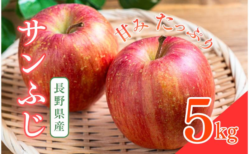 サンふじ　5kg　りんご リンゴ 林檎 果物 フルーツ 長野