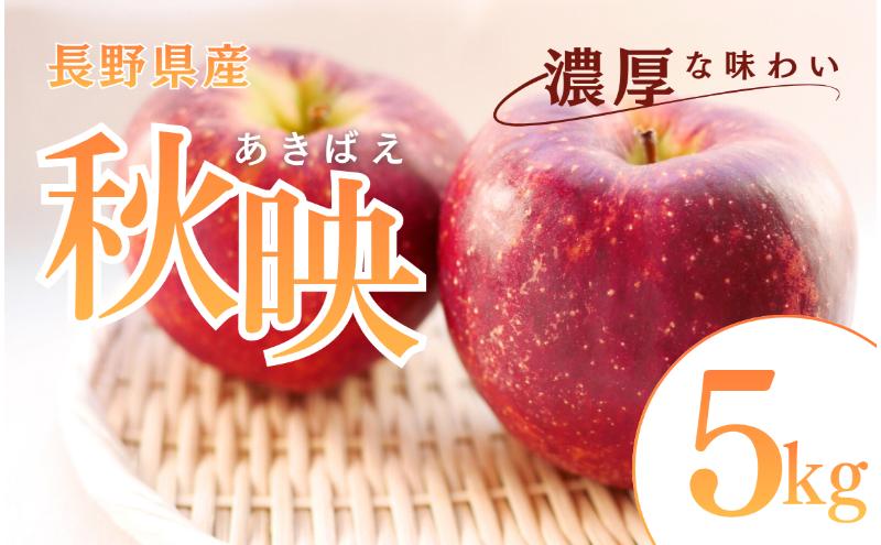 秋映　5kg　りんご リンゴ 林檎 果物 フルーツ 長野