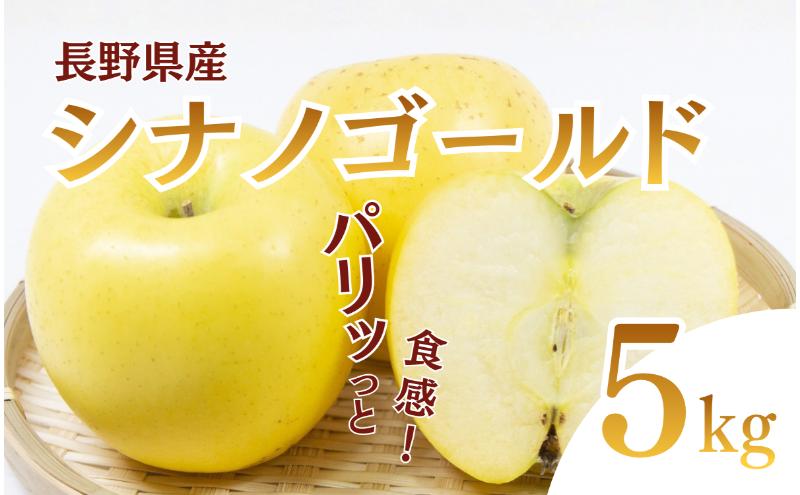 シナノゴールド　5kg　りんご リンゴ 林檎 果物 フルーツ 長野