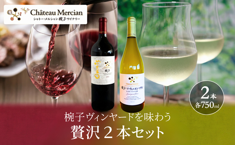 椀子ヴィンヤードを味わう贅沢赤白セット　ワイン 赤ワイン 白ワイン お酒 酒 アルコール 長野 長野県 上田市