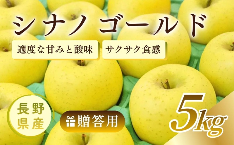 りんご シナノゴールド 5kg 贈答用 信州 フルーツ 果物　林檎 リンゴ くだもの 旬の果物 旬のフルーツ 信州産 長野県産 長野 長野県 上田市