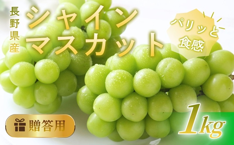 シャインマスカット　1kg 贈答用 信州 フルーツ 果物　ぶどう ブドウ 葡萄 マスカット くだもの  旬の果物 旬のフルーツ 信州産 長野県産 長野 長野県 上田市