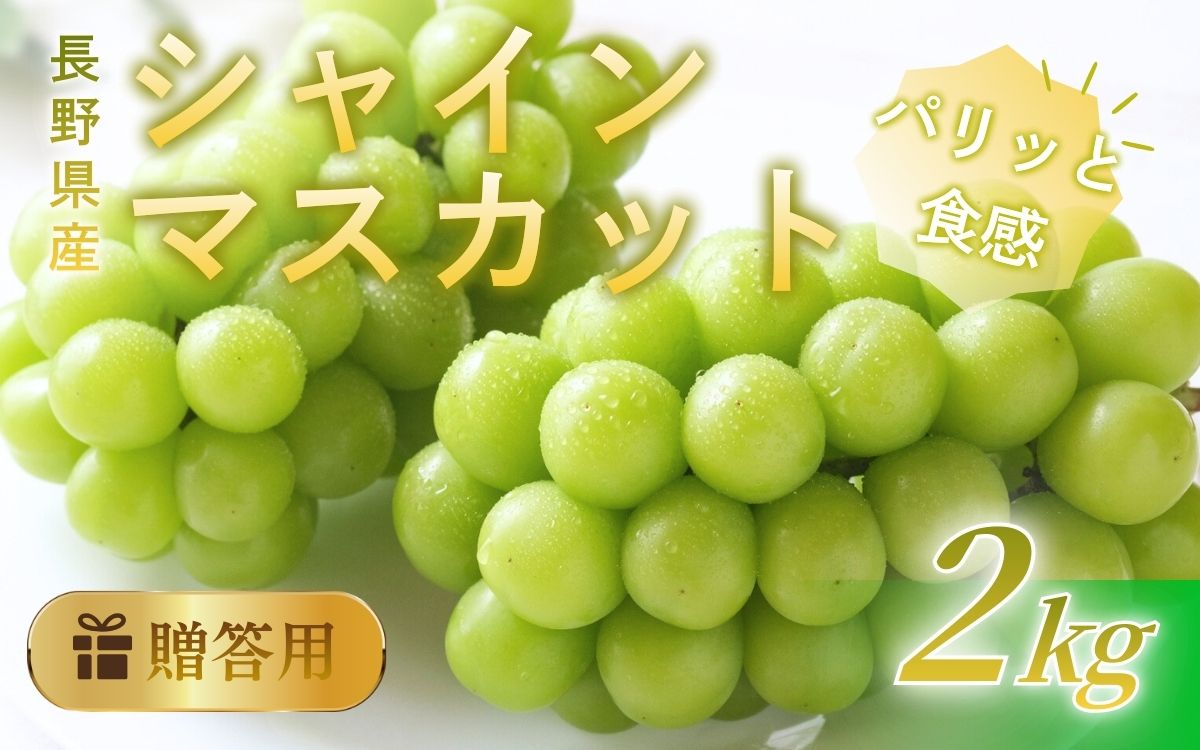 シャインマスカット 2kg 贈答用 信州 フルーツ 果物　ぶどう ブドウ 葡萄 マスカット くだもの  旬の果物 旬のフルーツ 信州産 長野県産 長野 長野県 上田市