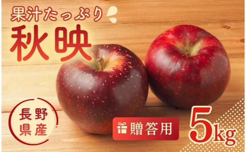 JAうえだから仕入れています りんご 秋映　あきばえ 5kg 贈答用 信州 フルーツ 果物