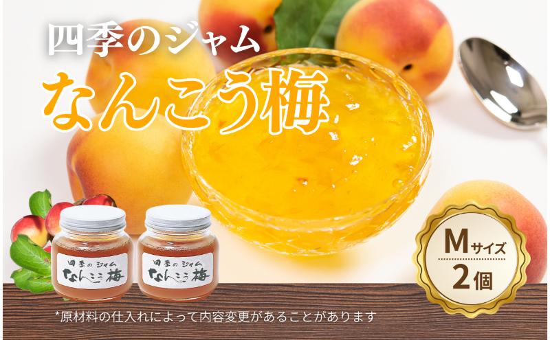 なんこう梅（M）2個セット ジャム 手作り セット 梅 朝食 軽食 上田市