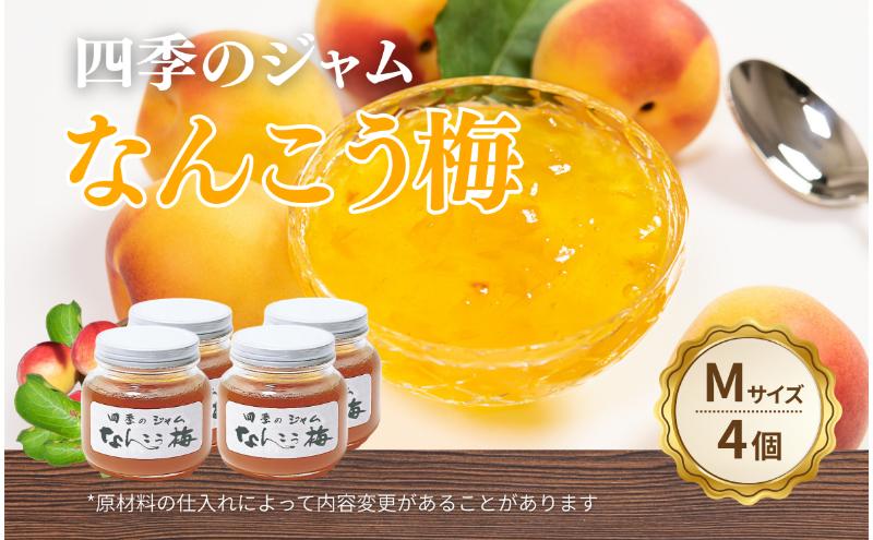 なんこう梅（M）4個セット ジャム 手作り セット 梅 朝食 軽食 上田市