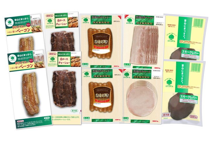 信州ハム グリーンマーク 詰め合わせ B セット / つるし燻り ベーコン 162g 2個 肩ロース チャーシュー 190g 2個 スモーク レバー 100g 2個 国産 ロースハム 58g 国産 ベーコン 60g 国産 あらびきウインナー 100g 信州ハム