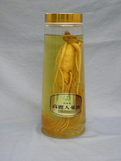 高麗人参酒 標本 美容 特産 6年 特大 人参入り 熟成 高麗人参 健康食品 健康 疲労回復 血行 改善 食品 お酒 酒 アルコール 六年生 人参 薬膳 長野 信州