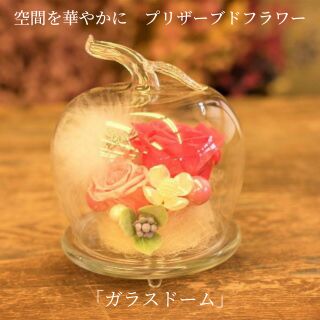 空間を華やかに　プリザーブドフラワー「ガラスドーム」お任せ