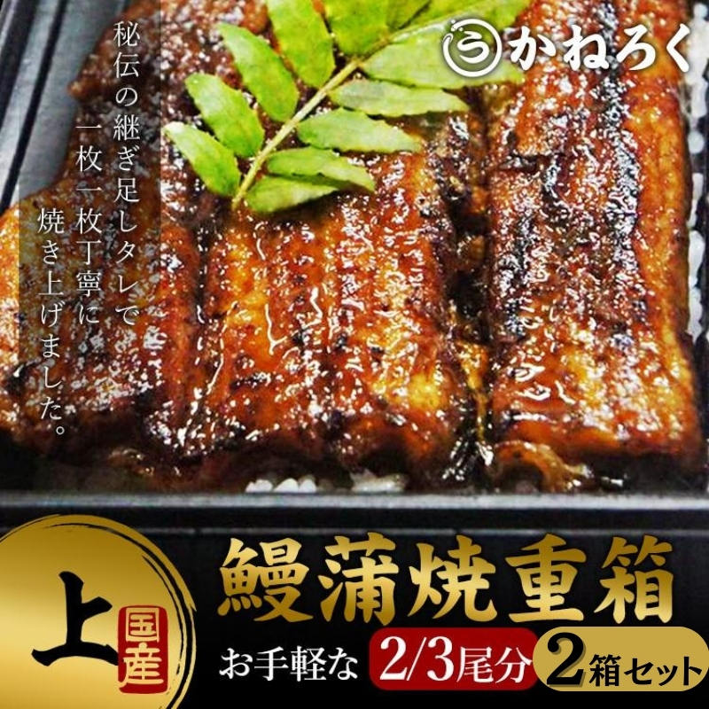 鰻蒲焼重箱「上」2個セット 山椒・漬物付き　ギフト ウナギ 鰻 蒲焼 国産 国内産 プレゼント 誕生日 お歳暮 上田市 コシヒカリ グルメ 贅沢